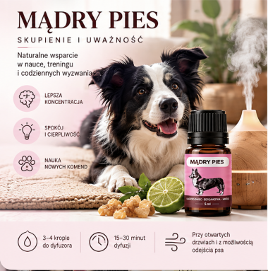 DLA PSA - Mieszanka MĄDRY PIES 5 ml
