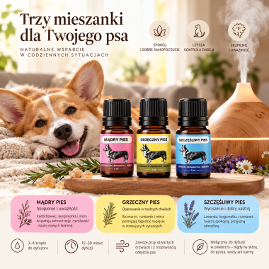 DLA PSA - Zestaw Mieszanek dla Dobrostanu Psa